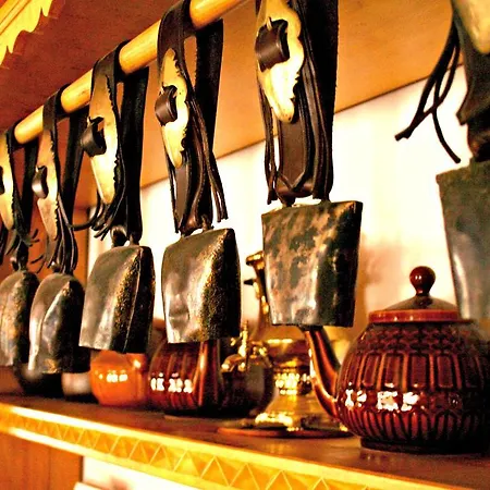 Pod Wierchami 民宿 扎科帕内